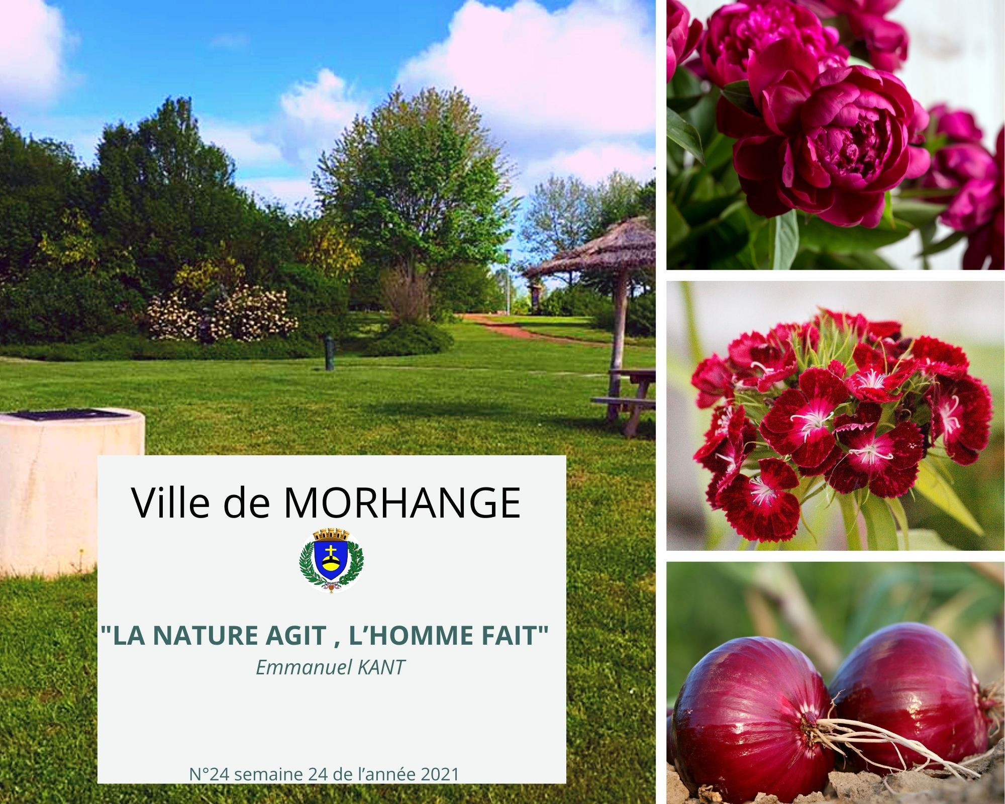 La nature agit, l'homme fait :  Semaine 24